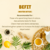 Befit Tea (Water Detox)