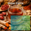 Water Force